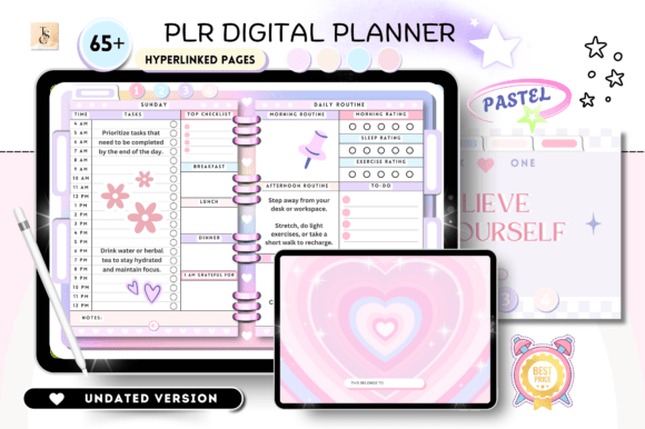 Download PLR Resell Canva Undated Digital Planner - Planner Collection