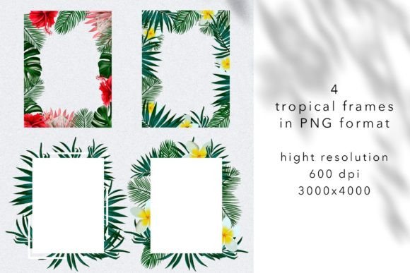 Download Tropical Flowers and Palm Leaves Frames - Leaves Collection